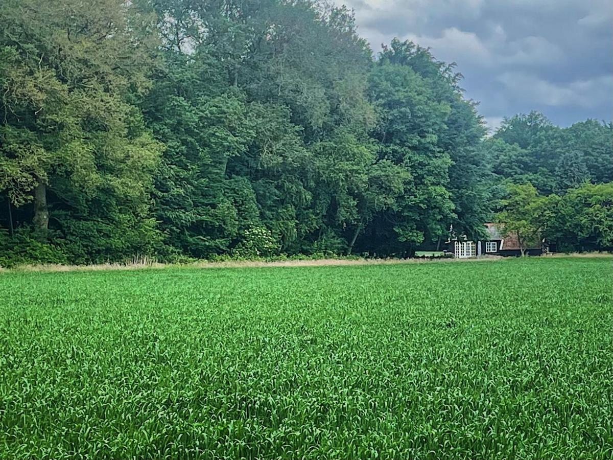 Natuurhuisje - Gastenverblijf De Kleine Hazerij Wijhe Dış mekan fotoğraf